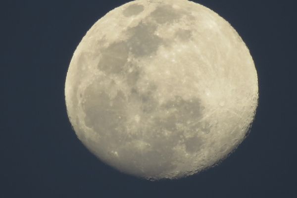 Mond mit dunklen Mondmeeren und hellen Kraterstrukturen am 9. März 2020